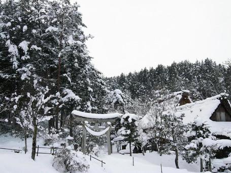 高山　飛騨の里 飛騨,高山,雪の写真素材