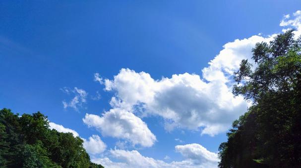 夏のゴルフ場の空 登別 北海道 夏のゴルフ場の空 登別 北海道の写真