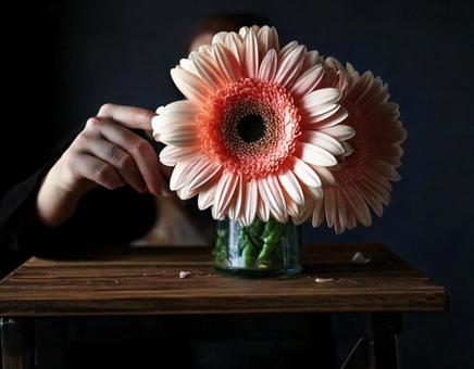 花 花の写真