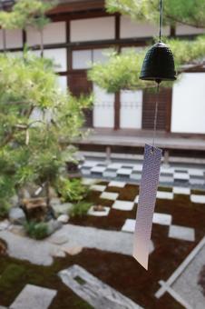 中庭と風鈴 中庭と風鈴 風鈴,中庭,宝徳寺の写真素材