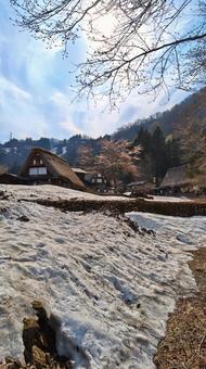Photo, spring, gokayama, aikura, 