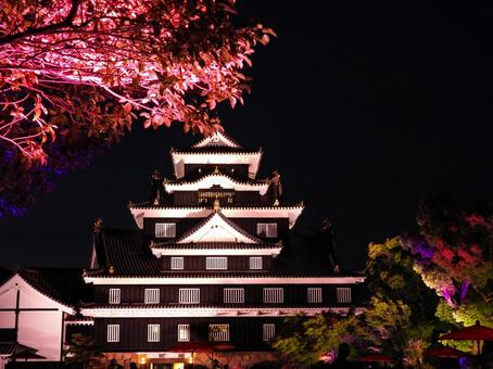 ライトアップされた岡山城天守閣 ライトアップされた岡山城天守閣 岡山城,ライトアップ,夜の写真素材