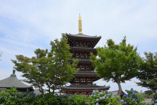 Photo, five-storied pagoda, gamma blue, hydrangea, 