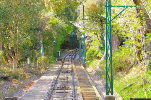 摩耶山へ向かって 摩耶山へ向かっての写真