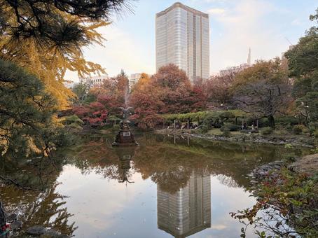 紅葉日比谷公園 紅葉,日比谷公園,池の写真素材