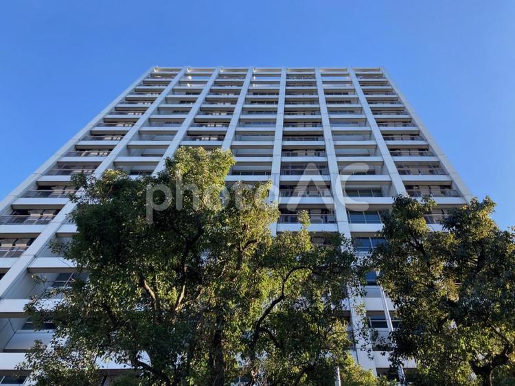 荻窪Daiwaタワーの青い空　杉並区 杉並区,上荻,荻窪daiwaタワーの写真素材