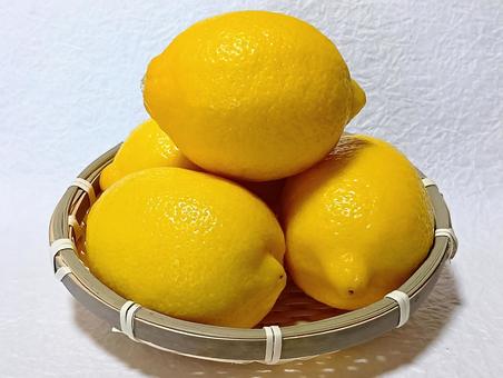 レモン レモン,檸檬,柑橘類の写真素材