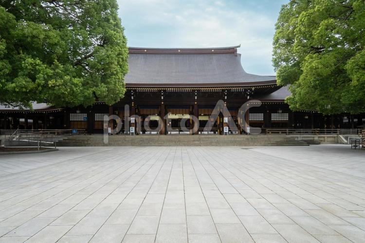 東京　明治神宮　外拝殿 明治神宮,神社,神宮の写真素材
