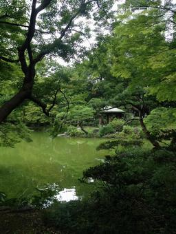 冬天的日比谷公園烏龜池 冬天的日比谷公園烏龜池
