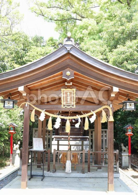 辛國神社　春日稲荷社 辛國神社,春日稲荷社,辛国神社の写真素材