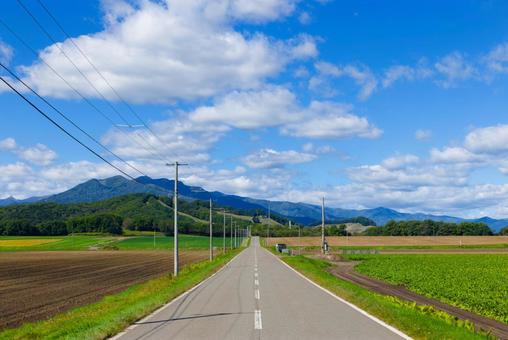 青空と一本道 青空と一本道 青空と一本道,道,直線の写真素材