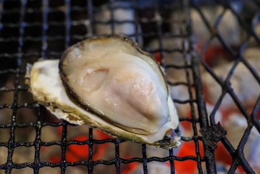 七輪で焼く牡蠣 七輪で焼く牡蠣 七輪で焼く牡蠣,牡蠣,貝の写真素材