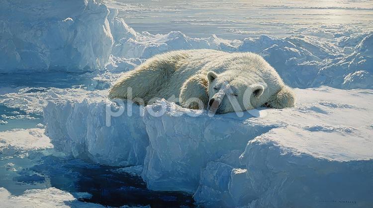 北極の眠れるホッキョクグマ ホッキョクグマ,シロクマ,クマの写真素材