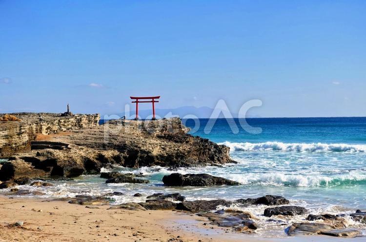 冬の白浜海岸風景 白浜海岸,水平線,海岸の写真素材