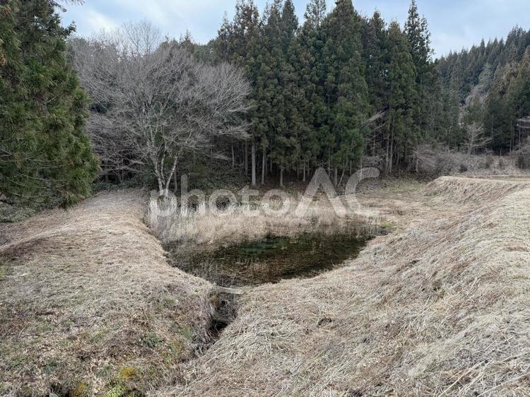 田んぼ用農業用水の小さなため池の風景 ため池,農業用水,田んぼの写真素材