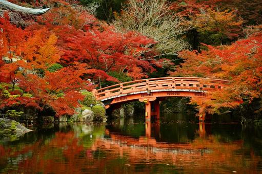 醍醐寺 醍醐寺,紅葉,秋の風景の写真素材