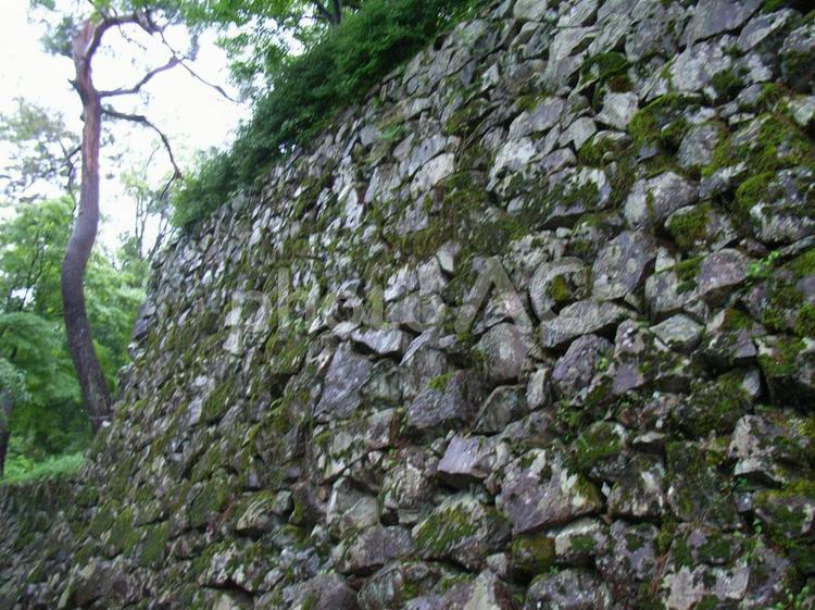 郡上八幡城石垣 郡上八幡城,郡上市の写真素材