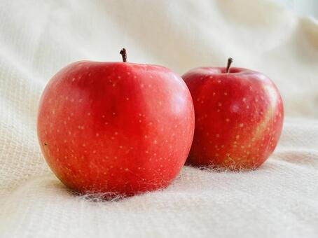 りんご りんご,秋,フルーツの写真素材