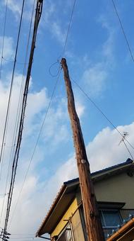 木の電柱 木の電柱の写真