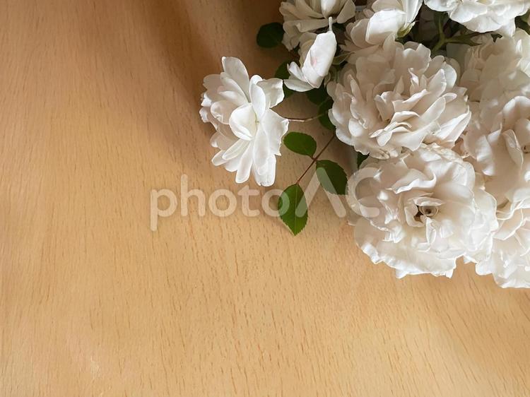 木目の明るい背景に映える白いバラ2 バラ,薔薇,白の写真素材