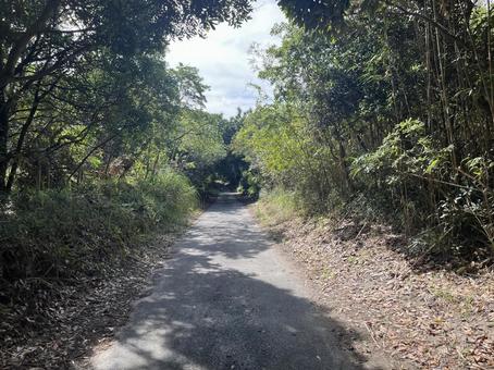 自然豊かな田舎道 自然豊かな田舎道 自然,風景,景色の写真素材