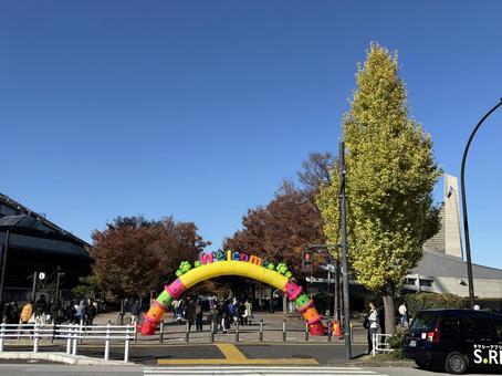 代々木公園 代々木公園,風景,秋の写真素材