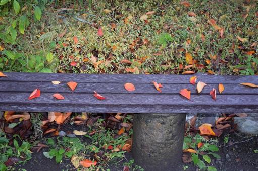 Photo, fallen leaves, bench, autumn, 