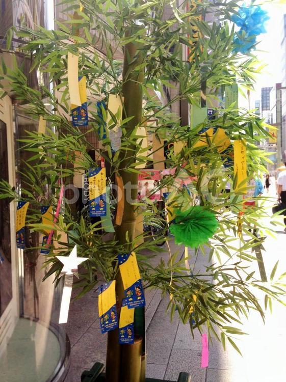 七夕　銀座の街 七夕,短冊,願い事の写真素材