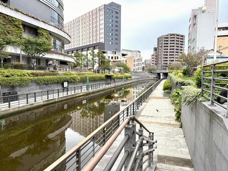 東京墨田区　おしなり公園　5月 ビルの谷間,道路,ビジネス街の写真素材