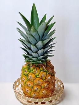 ミニパイン ミニパイン,果物,食材の写真素材