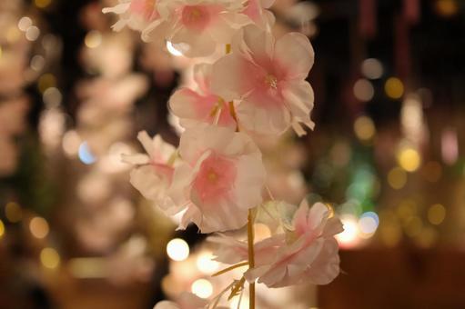 光の中の桜 光の中の桜の写真