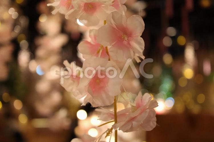 光の中の桜 桜,光,夜景の写真素材