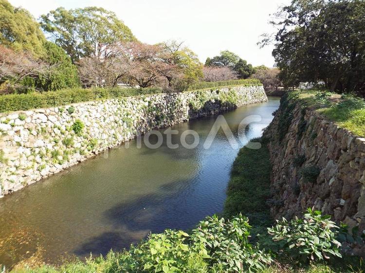 【風景写真】姫路城の風景 姫路城,世界遺産,国宝の写真素材