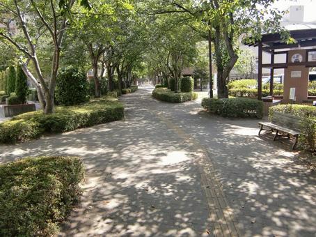 Photo, shade, a promenade, wood, 