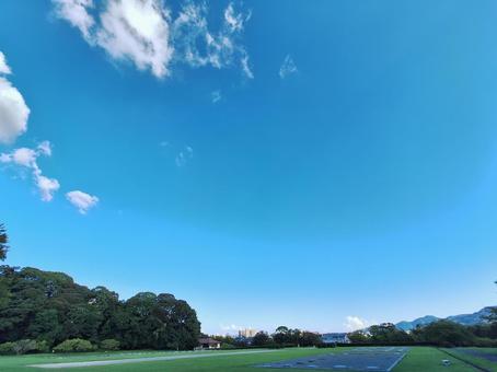 自然　癒しの写真