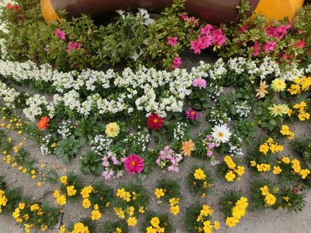 花 花の写真