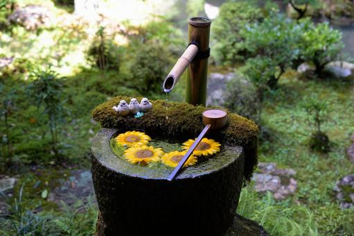 花手水 花手水の写真