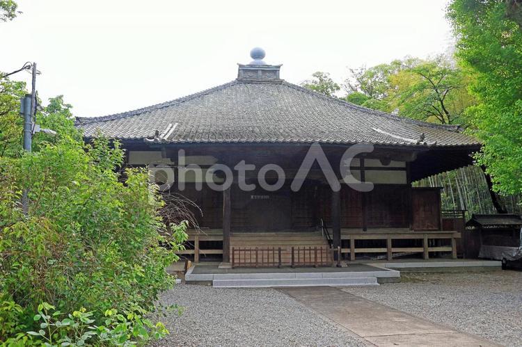 妙光院（府中） 妙光院,真言宗豊山派,本覚山妙光院真如寺の写真素材