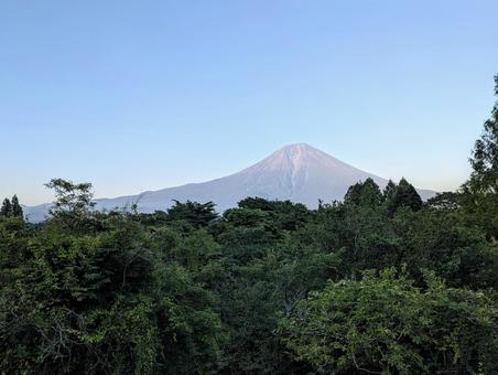 夕暮れの森と富士山 夕暮れの森と富士山 富士山,新緑,夕暮れの写真素材