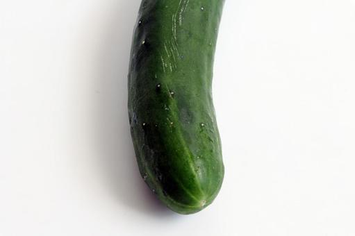 緑色のきゅうりのアップ きゅうり,緑色,野菜の写真素材