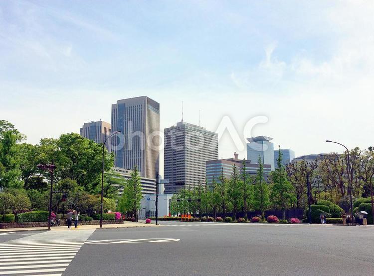 東京風景・国会議事堂 国会議事堂,千代田区,永田町の写真素材