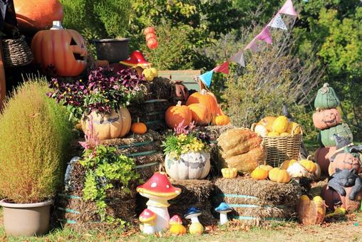 ハロウィン飾り・展示/とっとり花回廊 ハロウィン飾り・展示/とっとり花回廊 ハロウィン,ハロウィン飾り,ハロウィン展示の写真素材