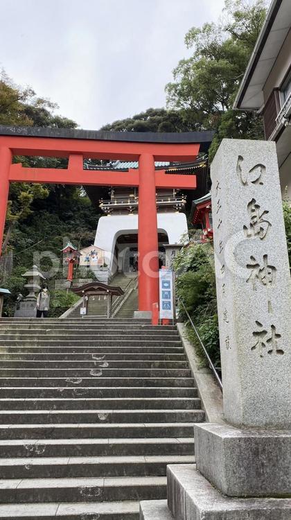 江島神社 - No: 26844154｜写真素材なら「写真AC」無料（フリー）ダウンロードOK