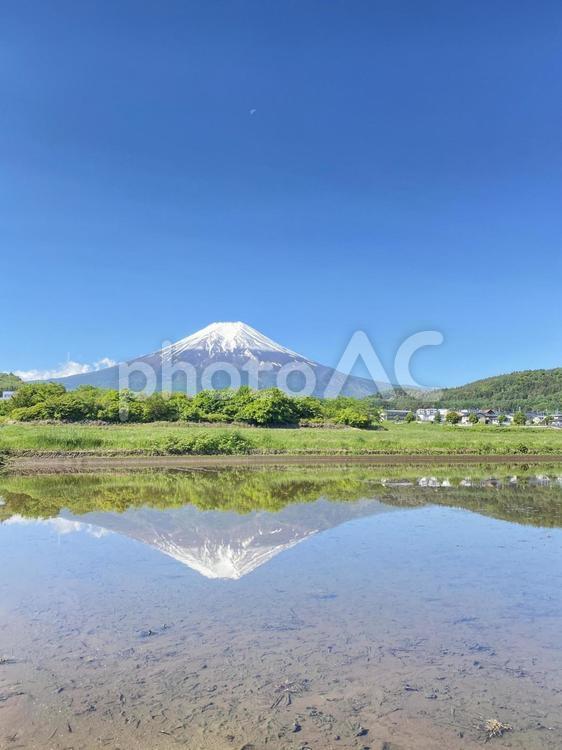 富士吉田市からの逆さ富士と田園風景 自然,逆さ富士,富士山の写真素材