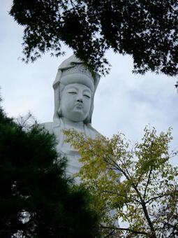 高崎白衣大観音 高崎白衣大観音,慈眼院,高崎観音の写真素材
