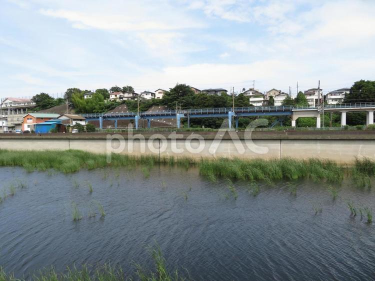 雨上がりで水の溜まった遊水地と鉄道高架 遊水地,池,水の写真素材