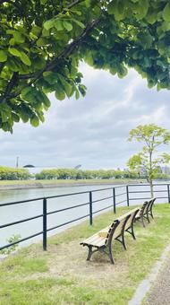 Photo, bench, chuan, shade of tree, 