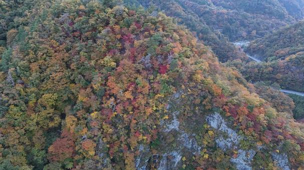 山紅葉014 山,紅葉,山紅葉の写真素材