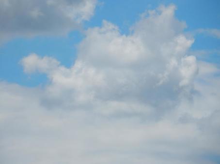 【空の写真】夏空 【空の写真】夏空の写真