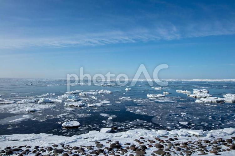 岸を離れていくまばらな流氷群 流氷,氷塊,氷の写真素材